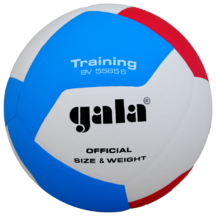 BOLA DE VOLEIBOL GALA BV5565S TRAINING